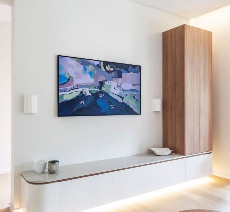 Entertainment Unit